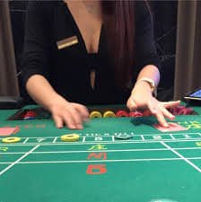 Dashboard bonus harian di situs toto menampilkan penawaran harian yang tersedia
